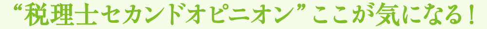 “税理士セカンドオピニオン”ここが気になる！