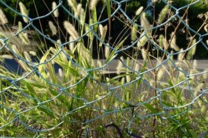低未利用土地等を譲渡した場合の長期譲渡所得の特別控除【不動産・税金相談室】